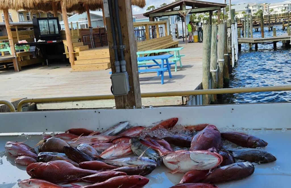 fantastic-fishing-florida-2434