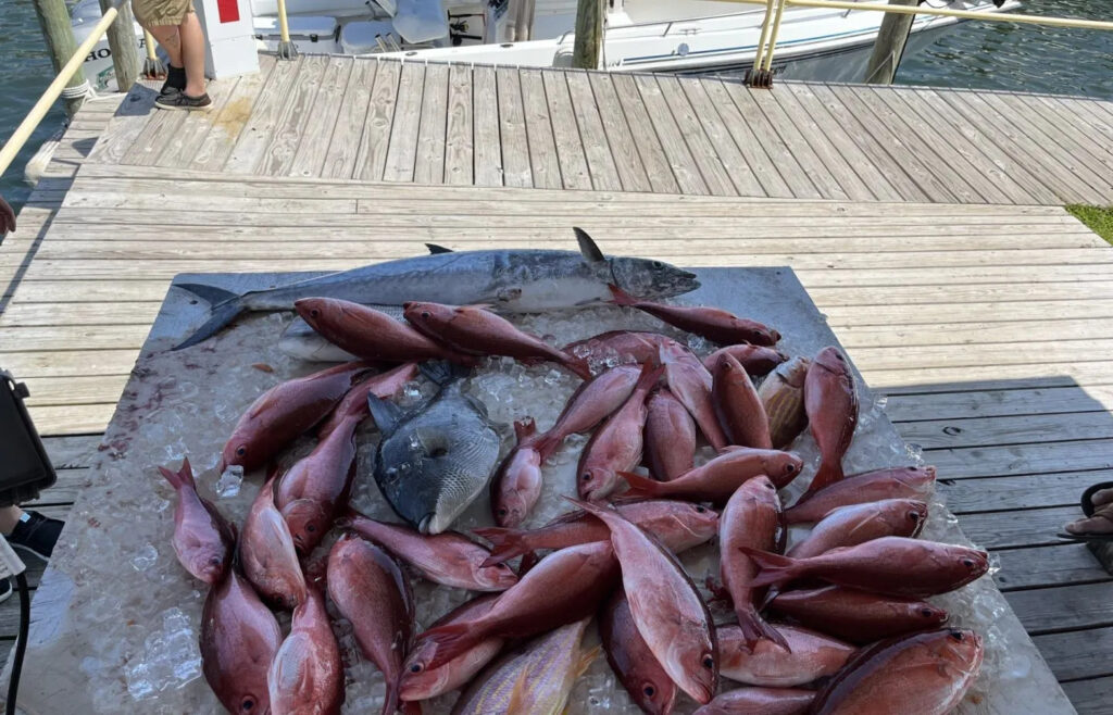 pensacola-fishing-getaway-2478