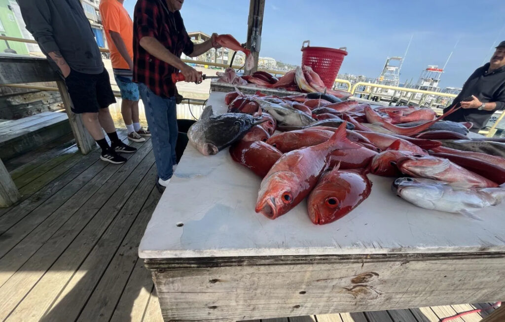 pensacola-fishing-triumph-2505